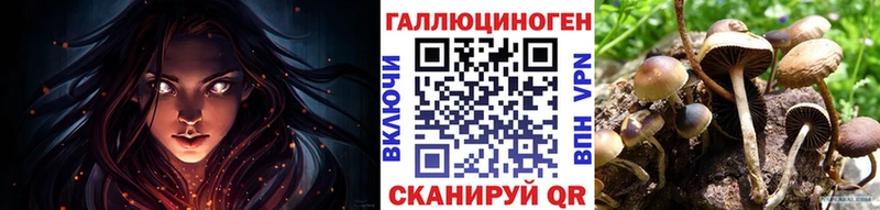 наркотики  Чаплыгин  Псилоцибиновые грибы MAGIC MUSHROOMS 