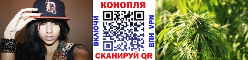 Шишки марихуана гибрид  Чаплыгин 